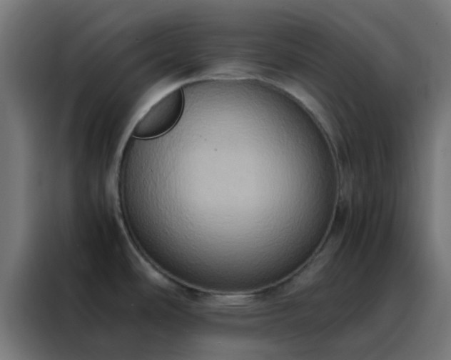 X0000088211486200705221733