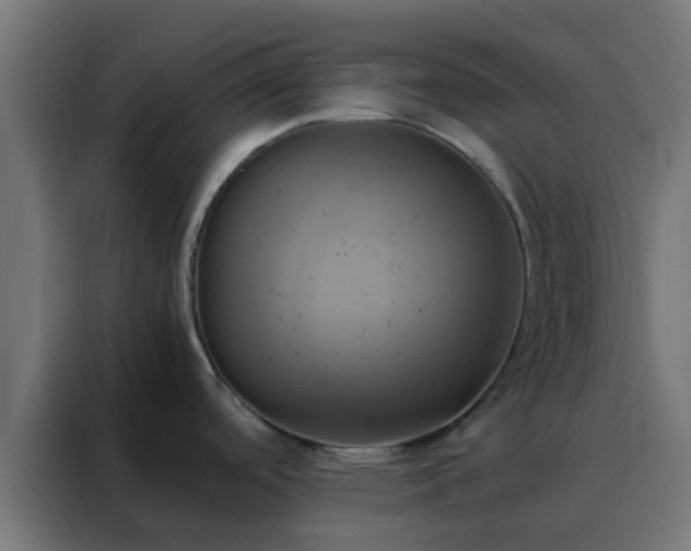 X0000088211488200705221733
