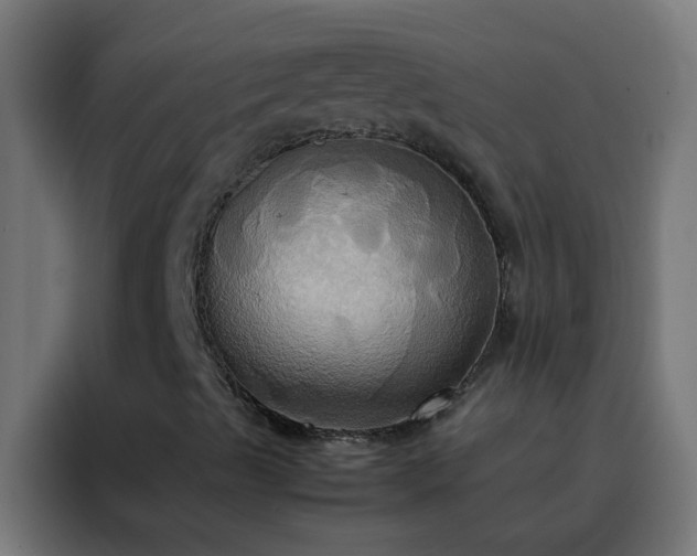 X0000088211489200705221732
