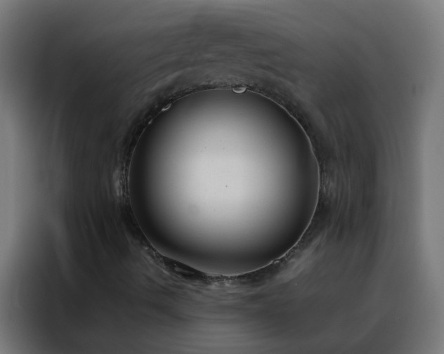 X0000088211490200705221732