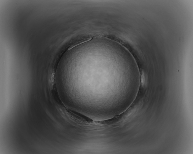 X0000088211492200705221732