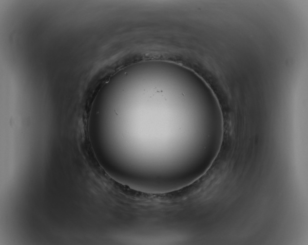 X0000088211493200705221732