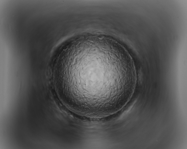 X0000088211494200705221732