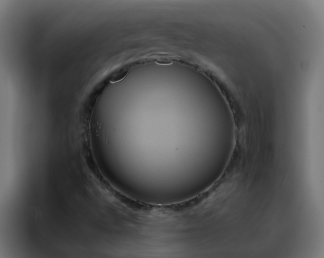 X0000088211496200705221732