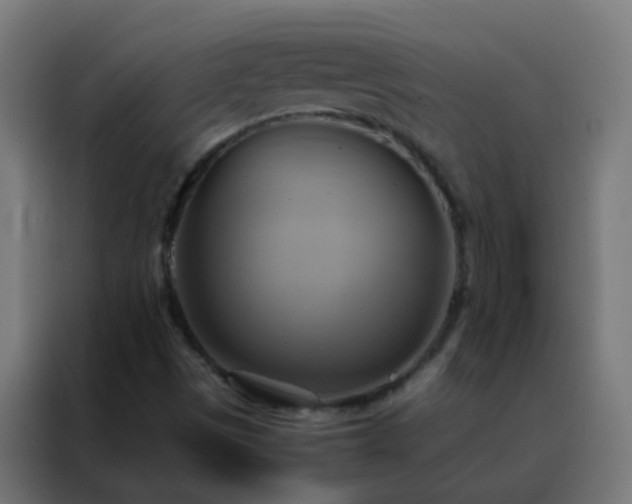 X0000088211497200705221732