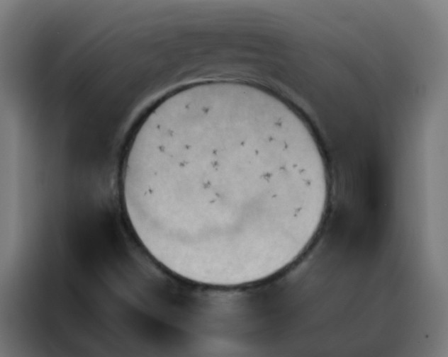 X0000088211498200705221732