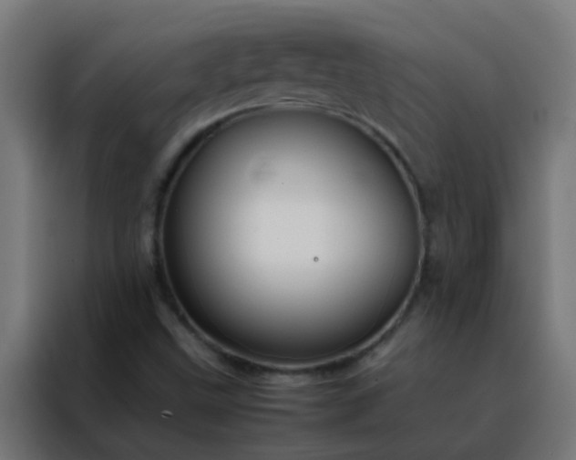 X0000088211499200705221732