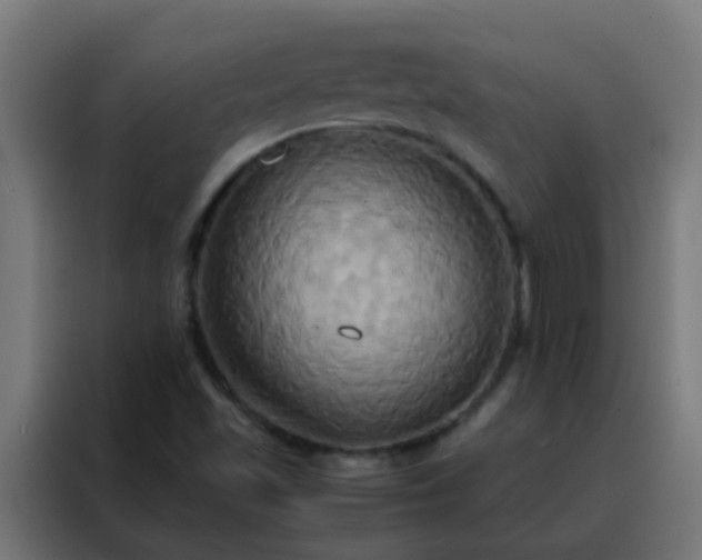 X0000088211501200705221732
