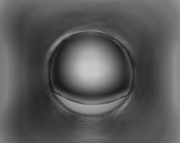 X0000088211502200705221732