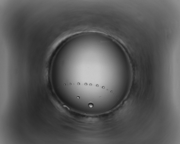 X0000088211503200705221733