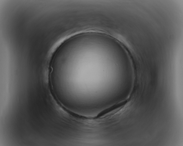 X0000088211504200705221733
