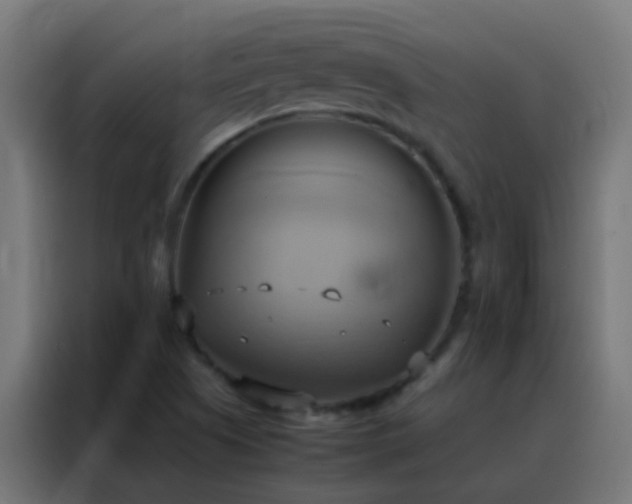 X0000088211505200705221733