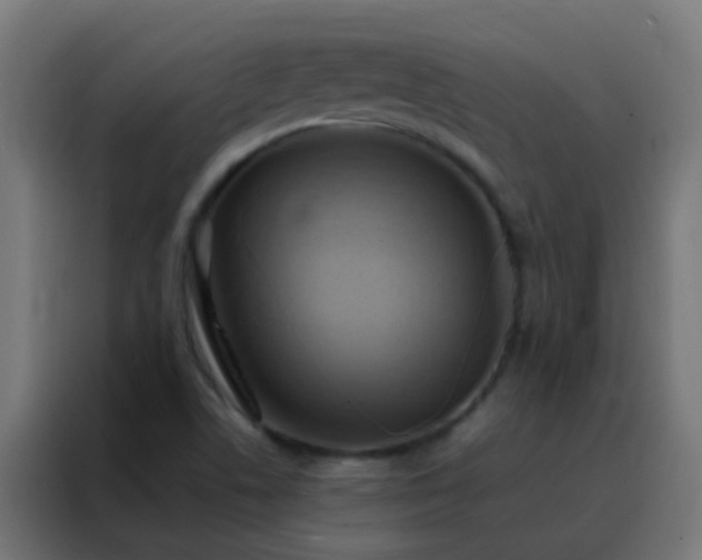 X0000088211506200705221733