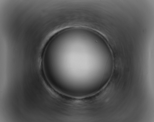 X0000088211507200705221733
