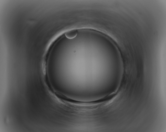 X0000088211510200705221733