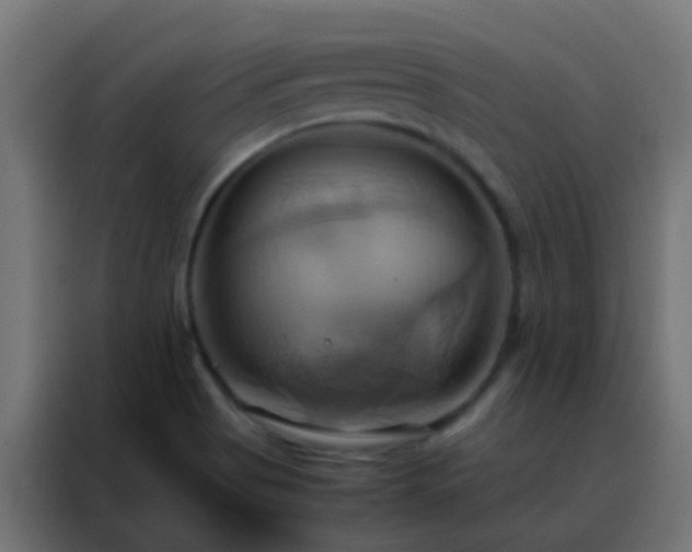 X0000088211513200705221733