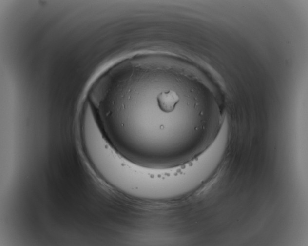 X0000088211514200705221733