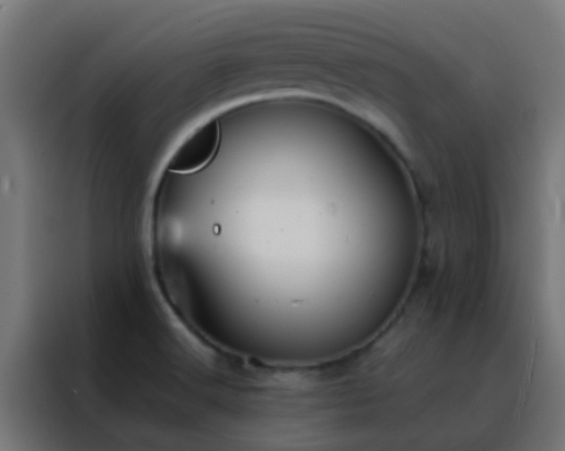 X0000088211516200705221733
