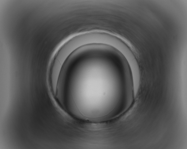 X0000088211518200705221733
