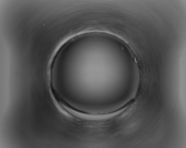 X0000088211519200705221733
