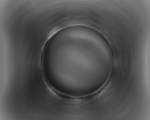 X0000088211521200705221733