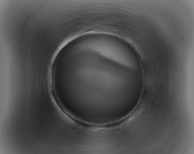 X0000088211522200705221733