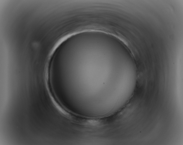 X0000088211523200705221733