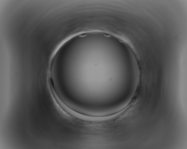 X0000088211524200705221733