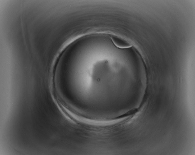 X0000088211525200705221733