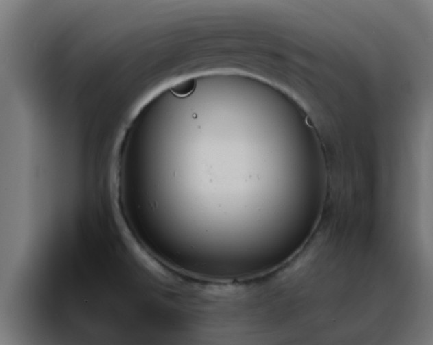 X0000088211526200705221733