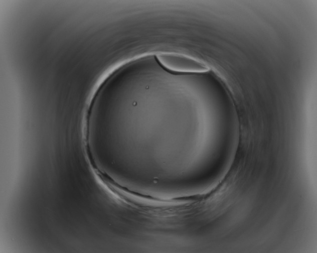 X0000088211527200705221733