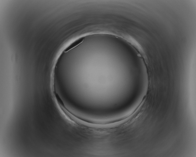 X0000088211528200705221733