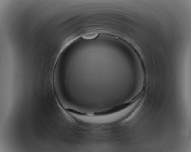 X0000088211529200705221733