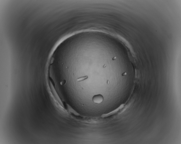 X0000088211530200705221733