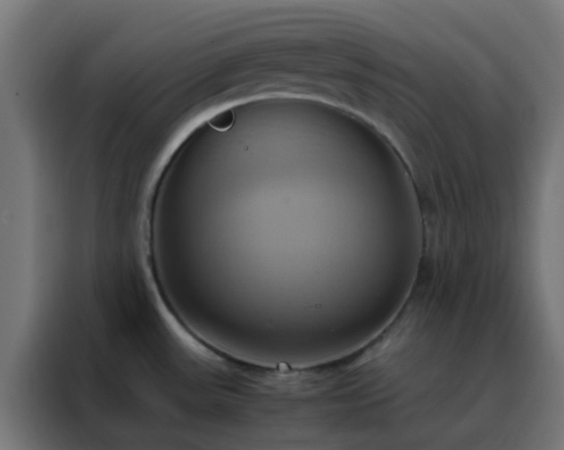 X0000088211531200705221733