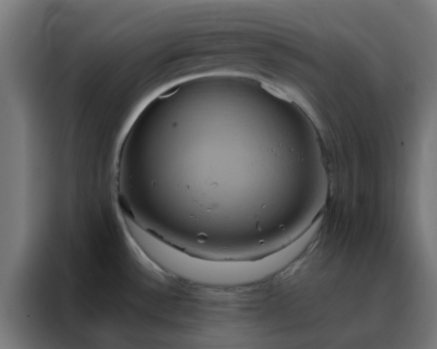 X0000088211532200705221733