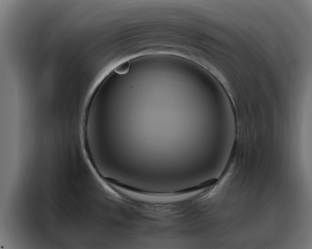 X0000088211533200705221733