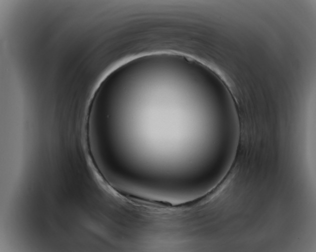 X0000088211534200705221733