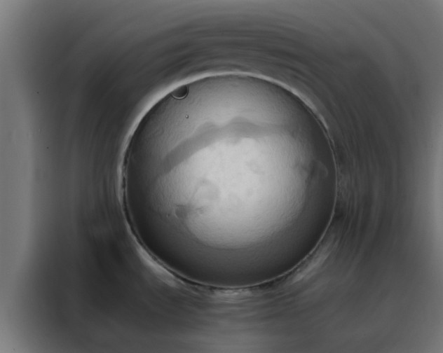 X0000088211535200705221733