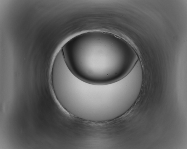 X0000088211536200705221733