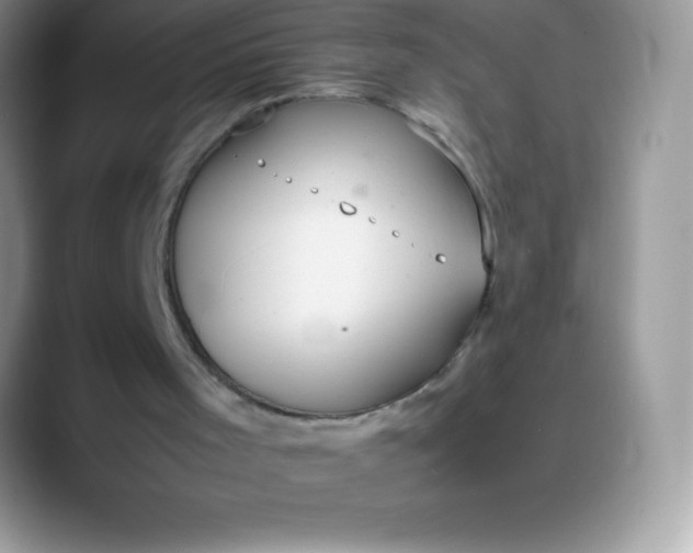 X0000088210001200705292102