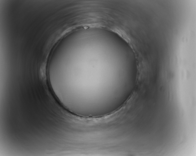 X0000088210002200705292102