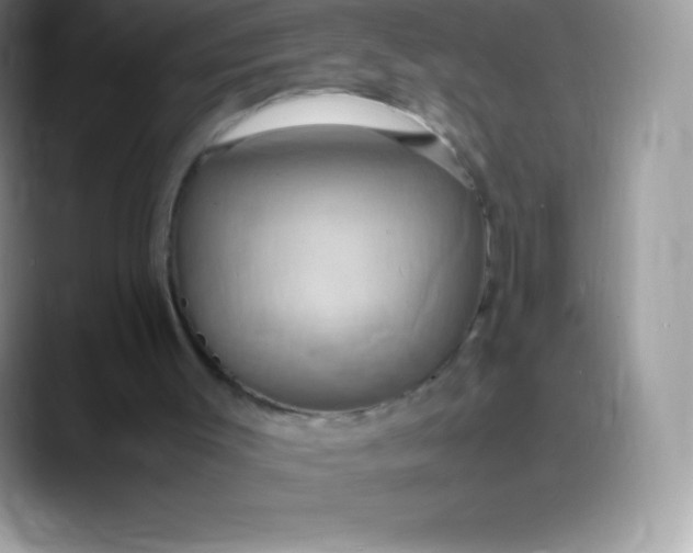 X0000088210003200705292102