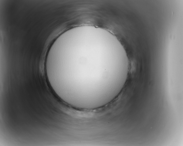 X0000088210004200705292102