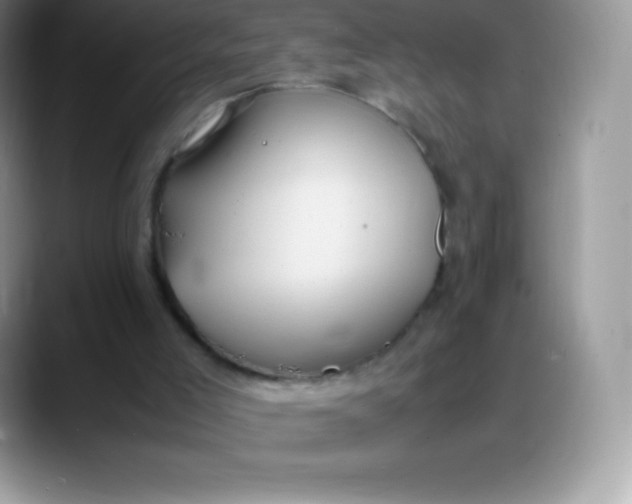 X0000088210005200705292102