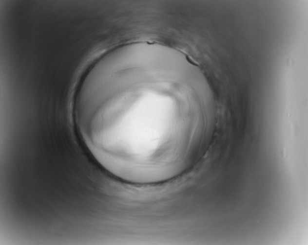 X0000088210006200705292102