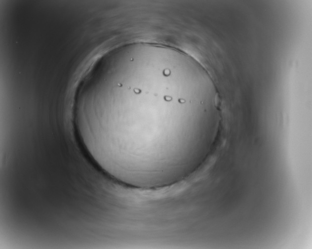 X0000088210007200705292102