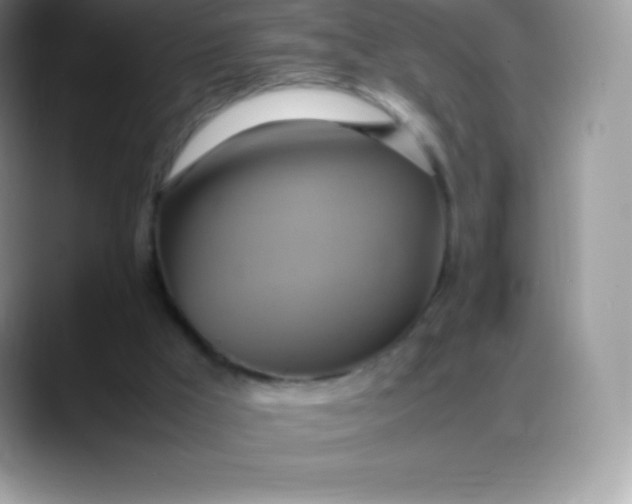 X0000088210009200705292102