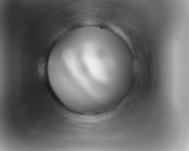 X0000088210010200705292102