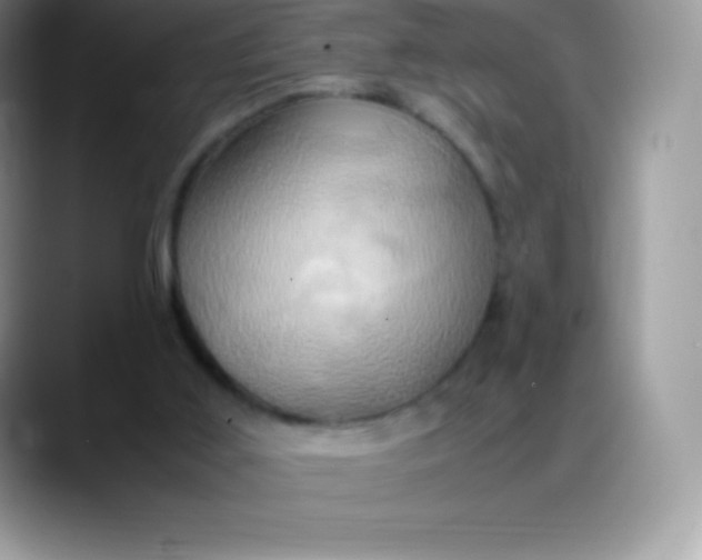 X0000088210011200705292102